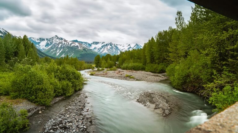 Rent a car with driver in Anchorage