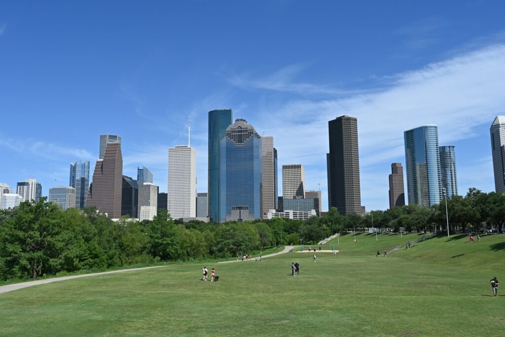 Rent a car with driver in Houston