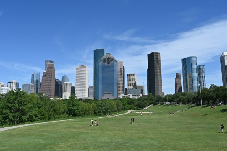 Rent a car with driver in Houston
