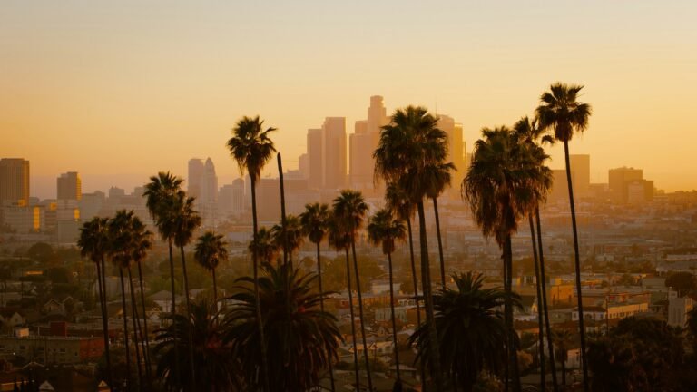 Rent a car with driver in Los Angeles